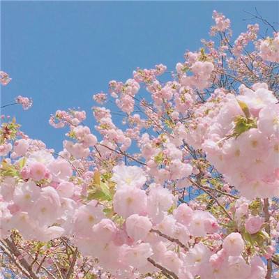 修仙战纪手机版(暂未上线)v1.0 官方安卓版