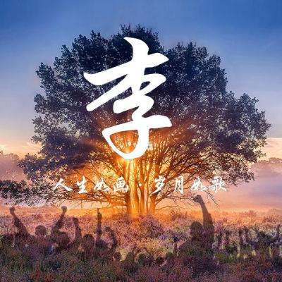 讨厌的球下载